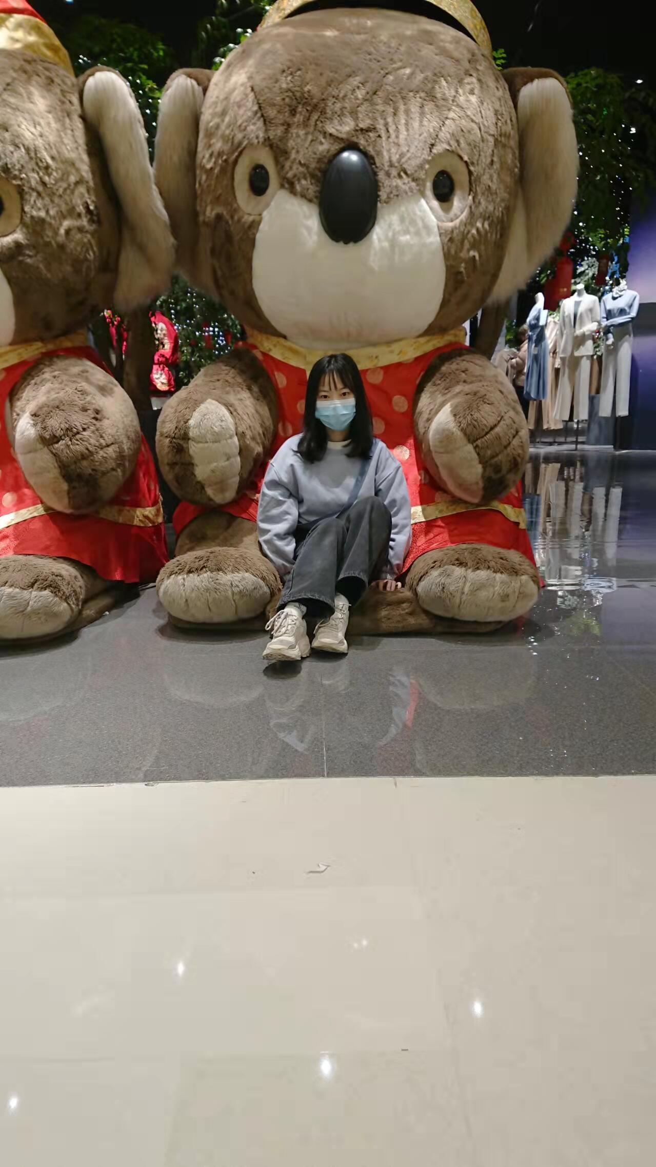 西西与巨大考拉