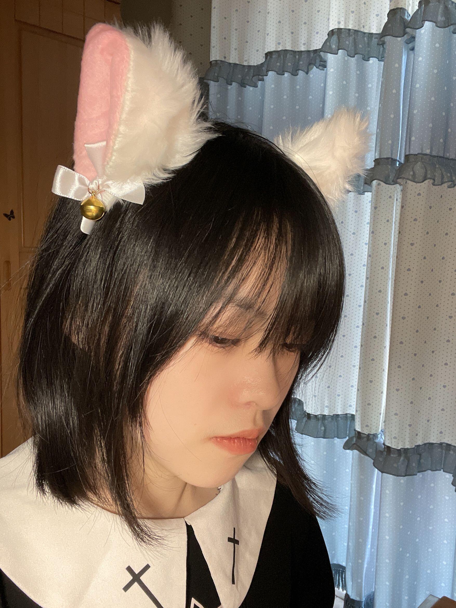 猫耳